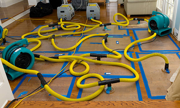 Professional Structural Drying And Dehumidification technician working in Somersworth, NH
